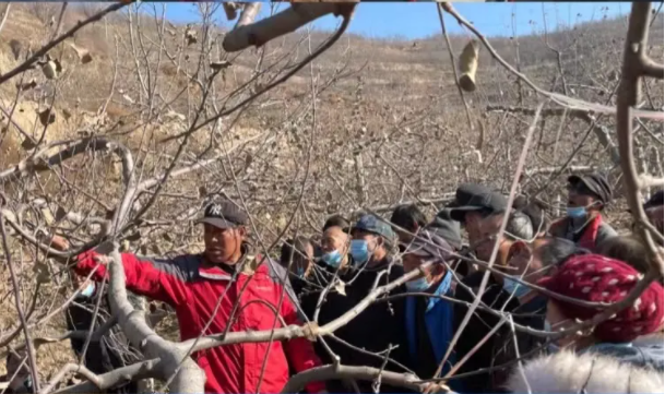 mk官方网站-mk官方网站-首页
在静宁帮扶村开展冬季果园管理培训(图5) mk官方网站-mk官方网站-首页
在静宁帮扶村开展冬季果园管理培训(图5)